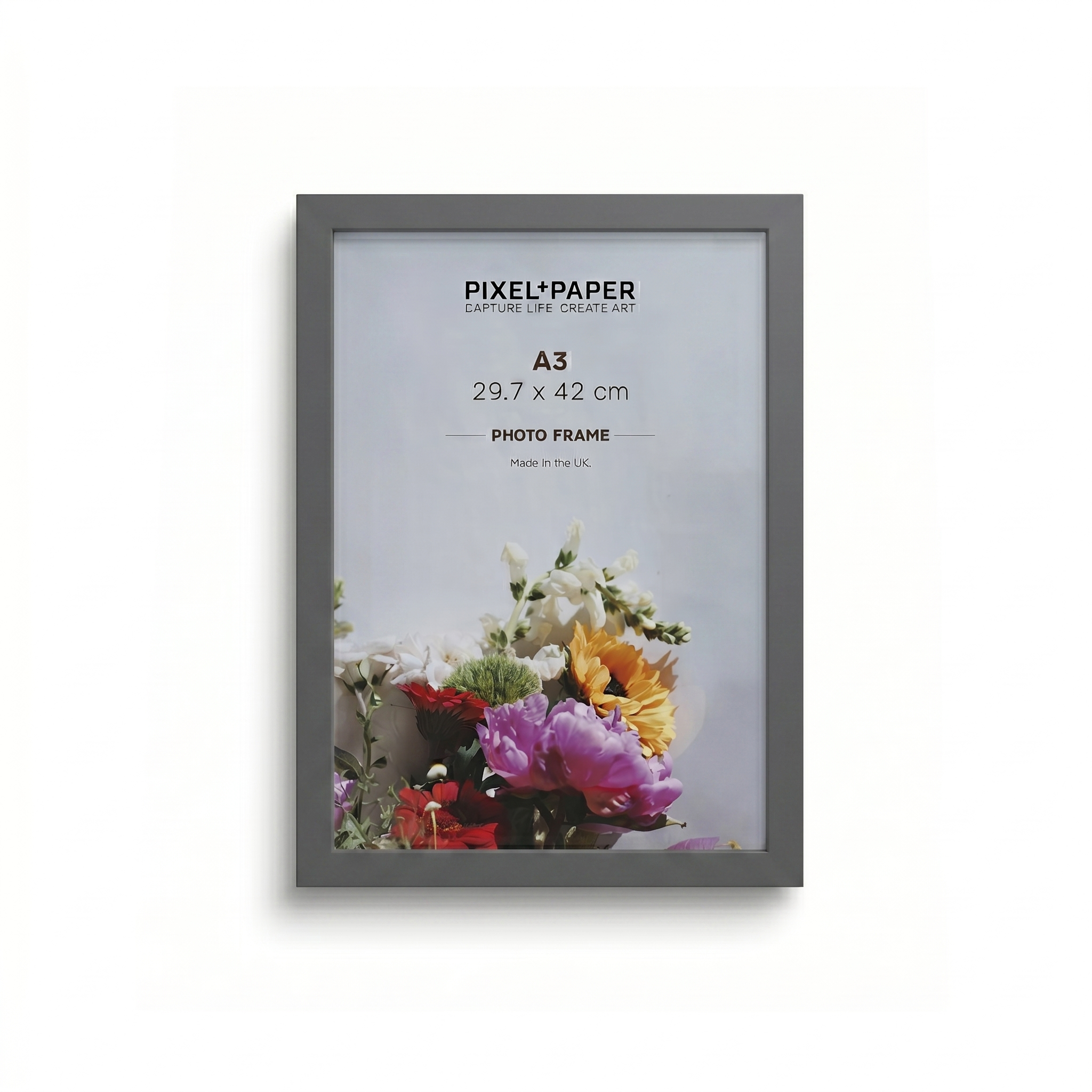 A3 Bugg Frame