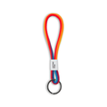 Pride Pantone Keychain (Short)
