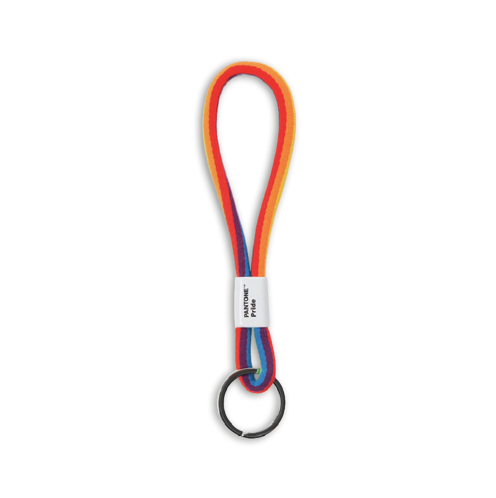 Pride Pantone Keychain (Short)