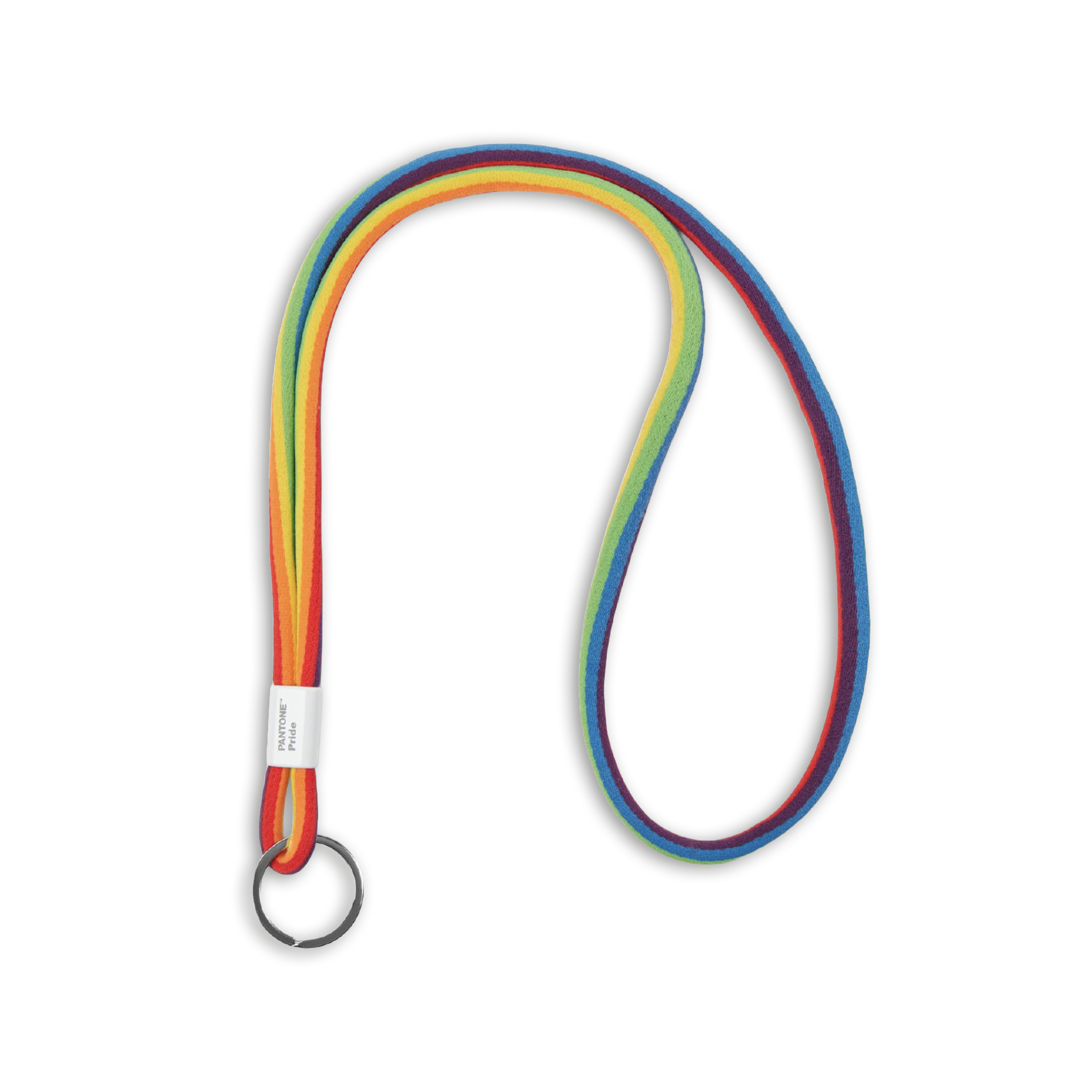 Pride Pantone Keychain (Long)